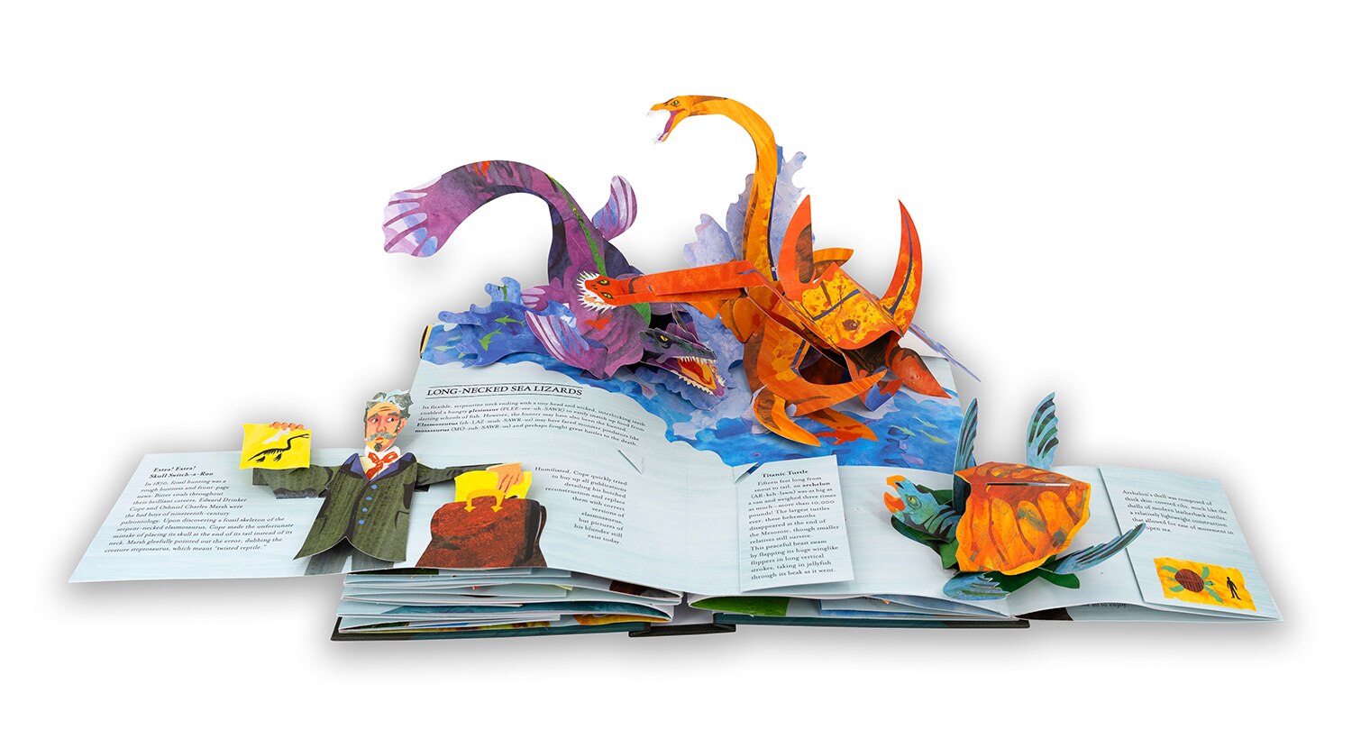 Encyclopedia Prehistorica Sharks And Other Sea Monsters Pop