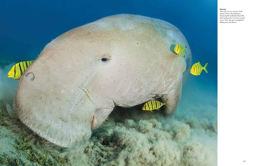 Sample content_ENDANGERED ANIMALS