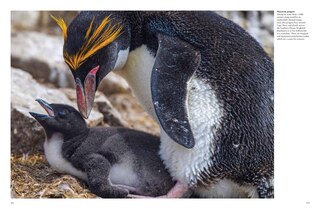 Sample content 4_ENDANGERED ANIMALS