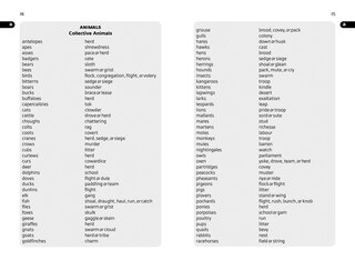 Aper&ccedil;u du contenu 3_English Gem Thesaurus