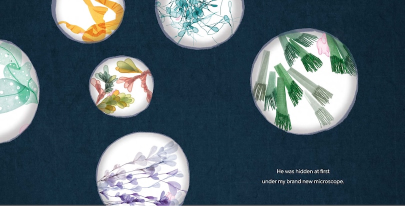 Sample content 4_Eon