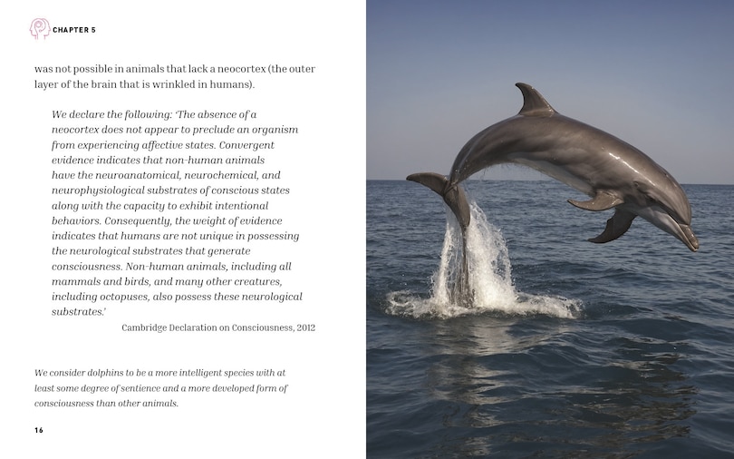 Sample content 2_ESSENTIAL BK OF CONSCIOUSNESS