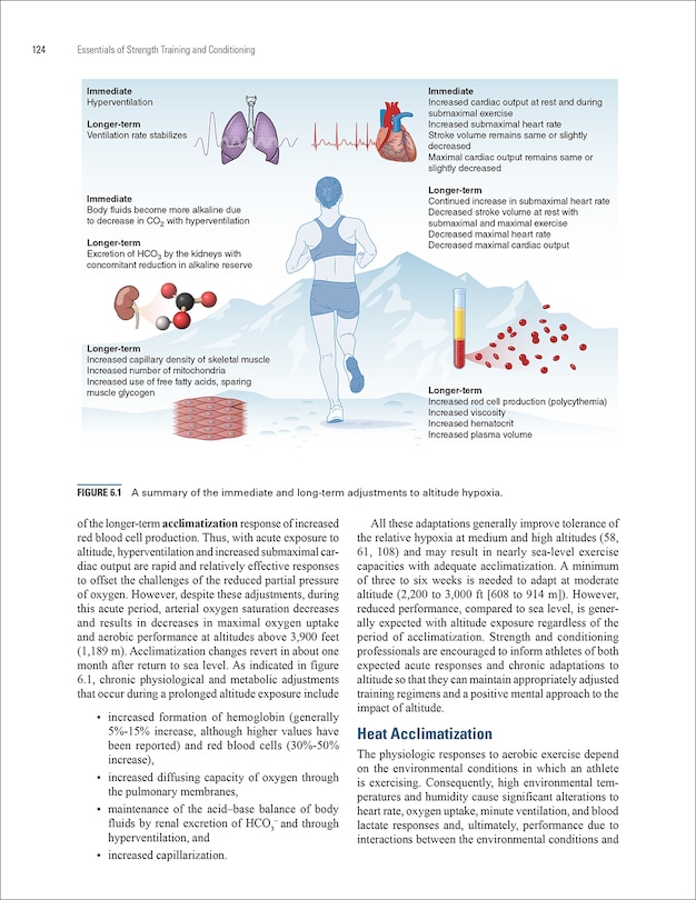 Sample content 3_Essentials of Strength Training and Conditioning