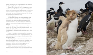 Sample content_Every Penguin in the World