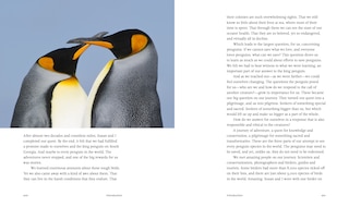 Sample content 4_Every Penguin in the World