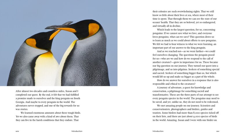 Sample content 4_Every Penguin in the World