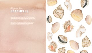Sample content 3_Everyday Watercolor Seashores