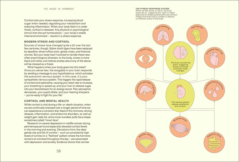 Aper&ccedil;u du contenu 4_Everything I Know About Hormones