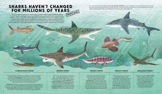 Aperçu du contenu 2_Everything You Know About Sharks is Wrong!