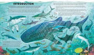 Aperçu du contenu 3_Everything You Know About Sharks is Wrong!