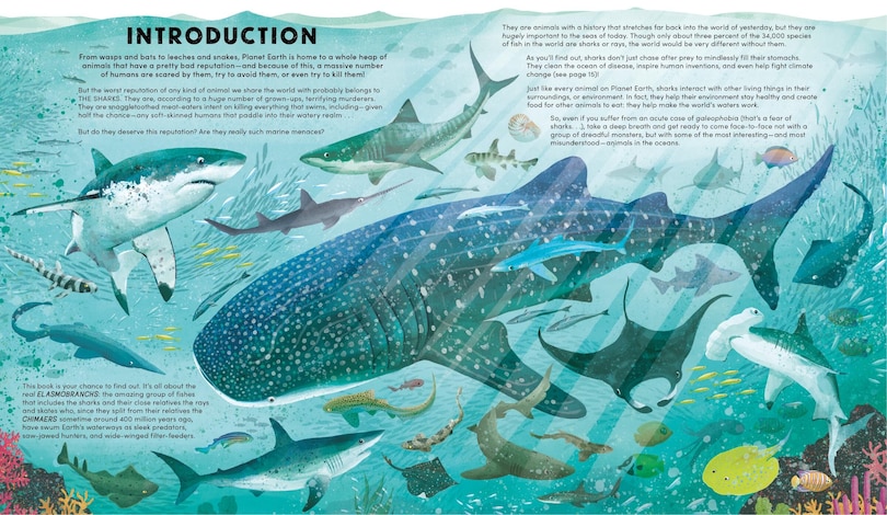 Aperçu du contenu 3_Everything You Know About Sharks is Wrong!