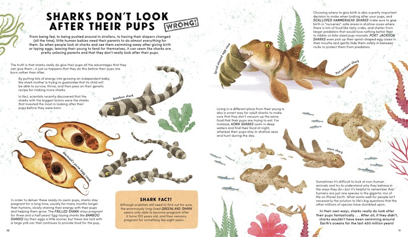 Aperçu du contenu 4_Everything You Know About Sharks is Wrong!