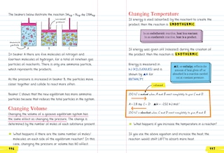 Sample content 2_Everything You Need To Ace Chemistry In One Big Fat Notebook
