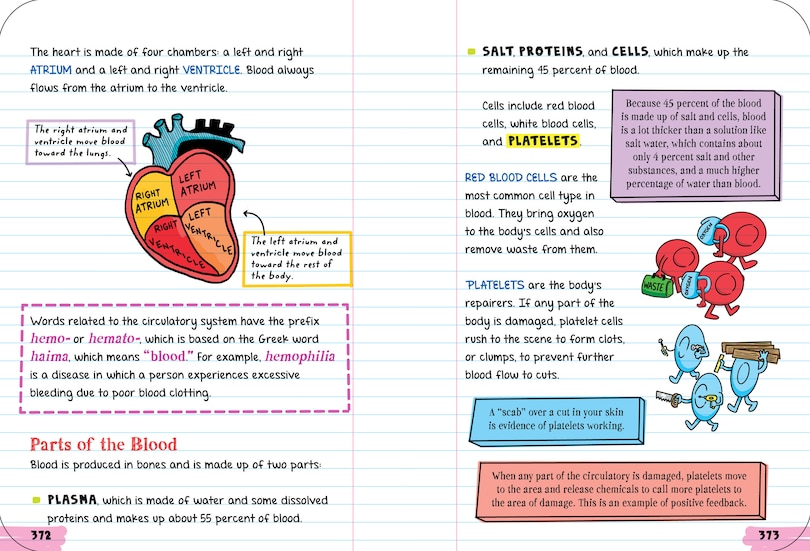 Sample content 2_Everything You Need To Ace Biology In One Big Fat Notebook