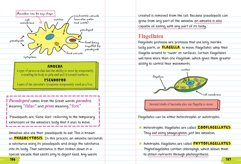 Sample content 4_Everything You Need To Ace Biology In One Big Fat Notebook