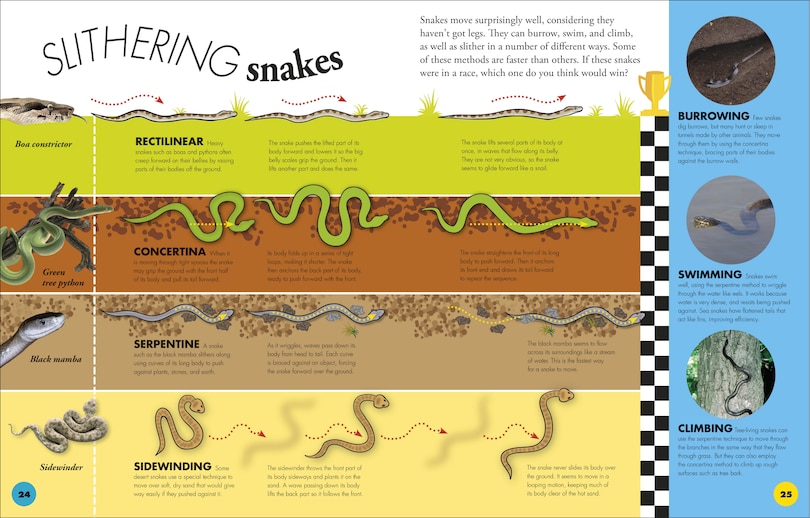 Aperçu du contenu_Everything You Need to Know About Snakes