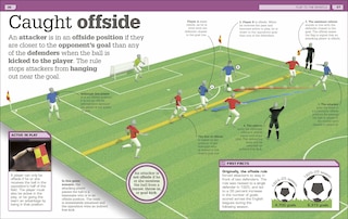 Sample content 3_Everything You Need to Know About Soccer!