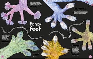 Aper&ccedil;u du contenu_Everything You Need To Know About Frogs And Other Slippery Creatures