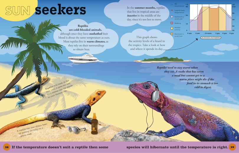 Aper&ccedil;u du contenu 3_Everything You Need To Know About Frogs And Other Slippery Creatures