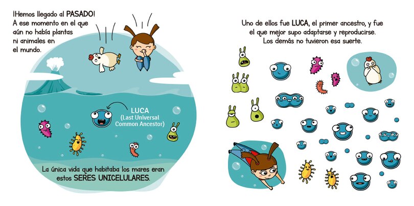 Aper&ccedil;u du contenu_Evoluci&oacute;n / Evolution For Smart Kids