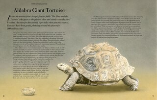 Sample content_Evolution: A Celebration of Beautiful Animals