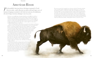 Sample content 2_Evolution: A Celebration of Beautiful Animals