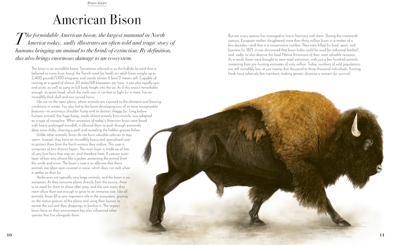 Sample content 2_Evolution: A Celebration of Beautiful Animals