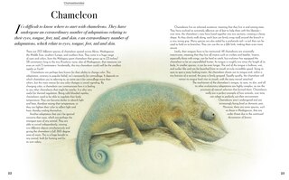 Sample content 3_Evolution: A Celebration of Beautiful Animals