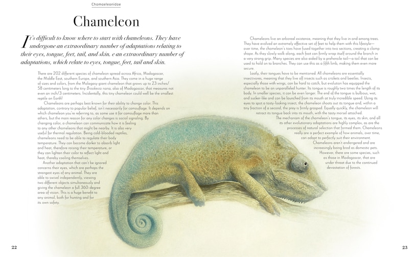 Sample content 3_Evolution: A Celebration of Beautiful Animals