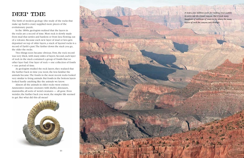 Sample content 2_Evolution