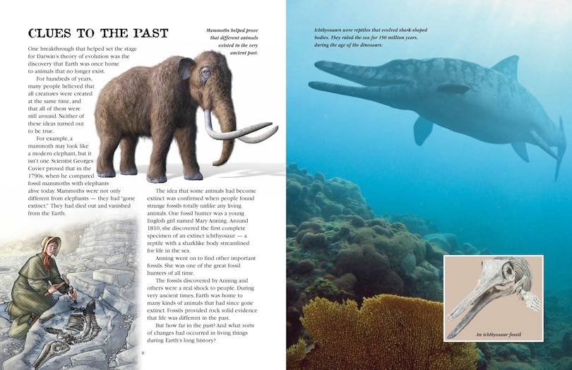 Sample content 3_Evolution