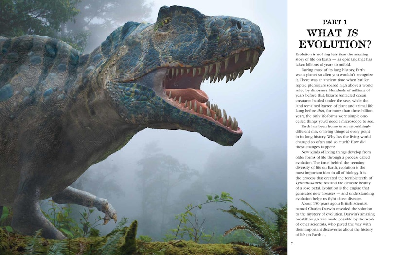 Sample content 4_Evolution