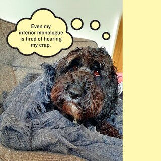 Sample content 2_Existential Dogs