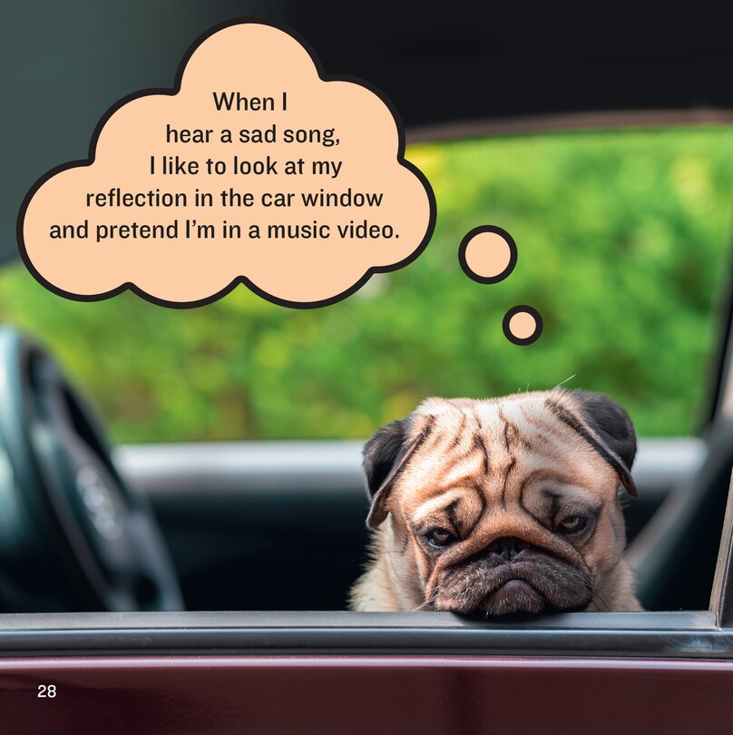 Sample content 4_Existential Dogs