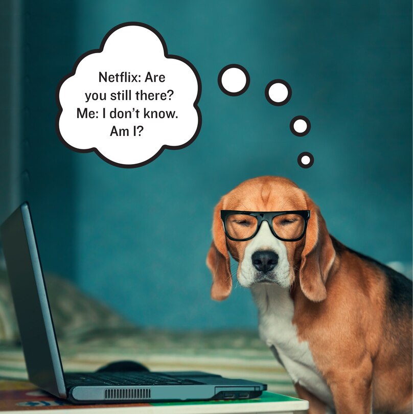 Sample content 5_Existential Dogs