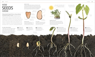 Sample content_Explanatorium of Nature