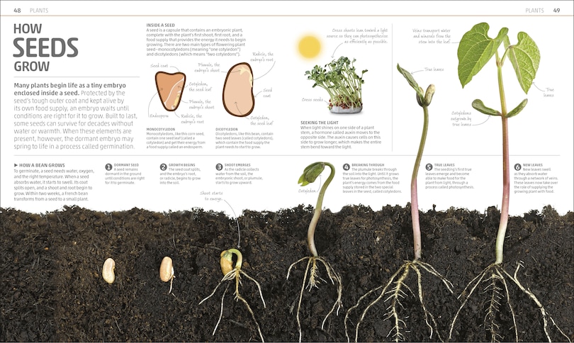 Sample content_Explanatorium of Nature