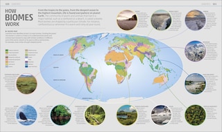 Sample content 2_Explanatorium of Nature