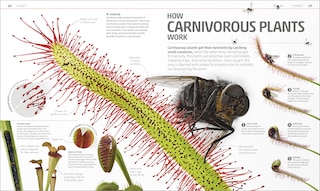 Sample content 4_Explanatorium of Nature