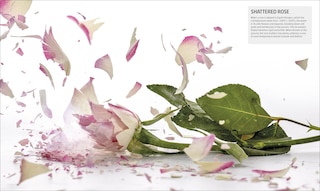 Sample content_Explanatorium of Science