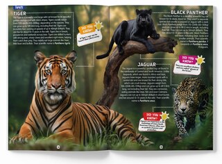 Sample content_Explore Fantastic World of Animals Picture Encyclopedia