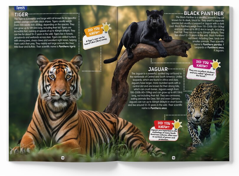 Sample content_Explore Fantastic World of Animals Picture Encyclopedia