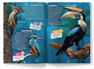 Sample content_Explore Fantastic World of Birds Picture Encyclopedia