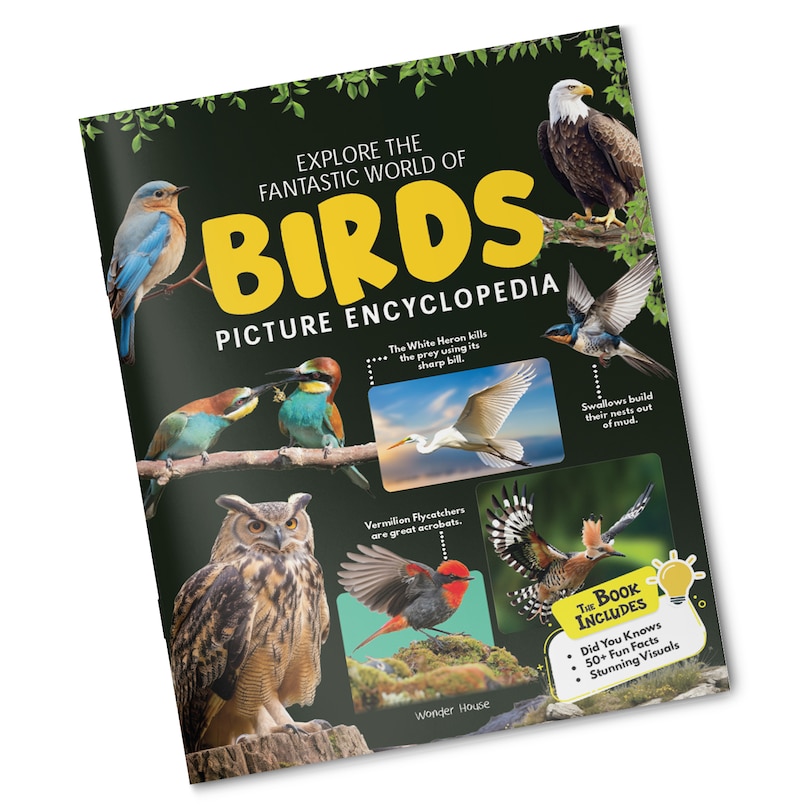 Sample content 3_Explore Fantastic World of Birds Picture Encyclopedia
