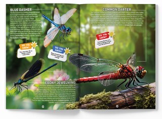 Aper&ccedil;u du contenu 2_Explore Fantastic World of Insects And Bugs Picture Encyclopedia
