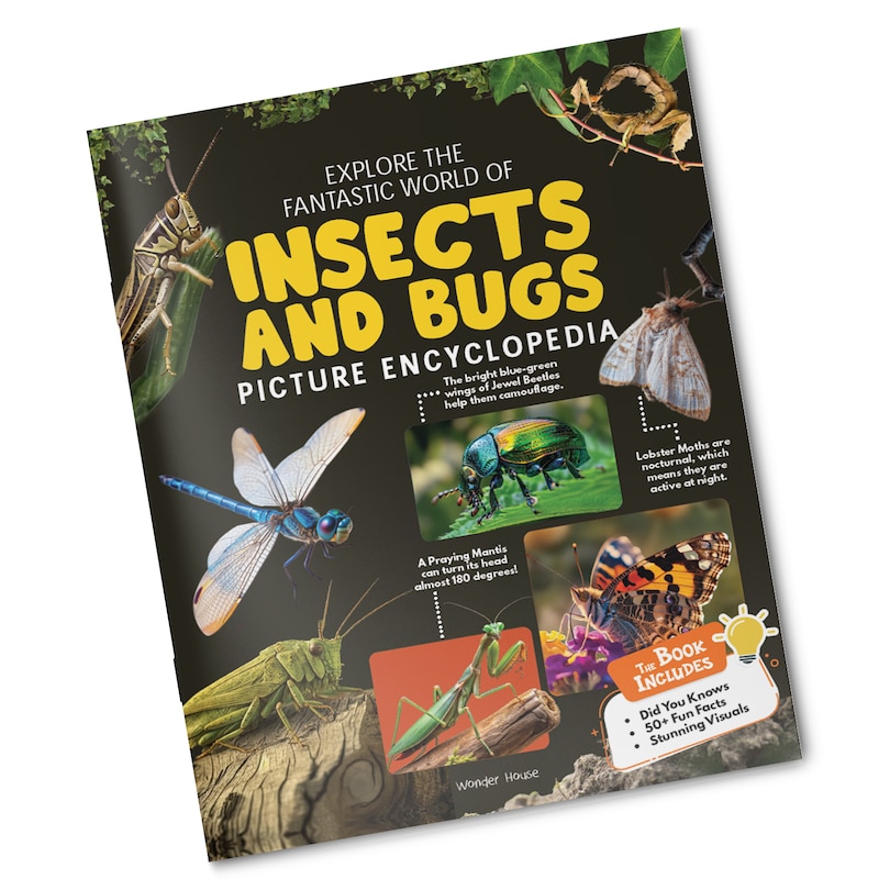 Aper&ccedil;u du contenu 3_Explore Fantastic World of Insects And Bugs Picture Encyclopedia