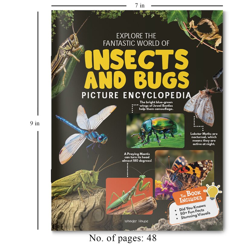 Aper&ccedil;u du contenu 4_Explore Fantastic World of Insects And Bugs Picture Encyclopedia