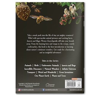 Aper&ccedil;u du contenu 5_Explore Fantastic World of Insects And Bugs Picture Encyclopedia