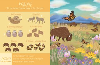 Sample content_Explore Nature Search and Find