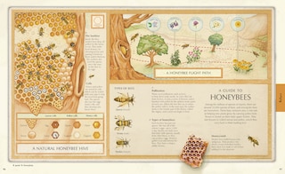 Sample content 2_Explore